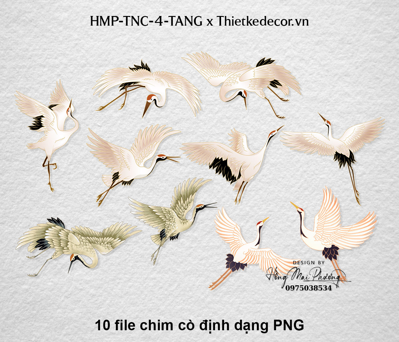 Set 10 file chim cò demo cưới